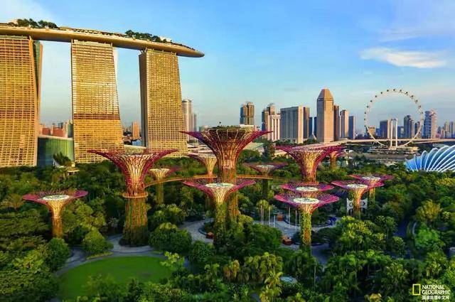 关于新加坡的六个事实 告诉你真正的新加坡 和想像的不一样