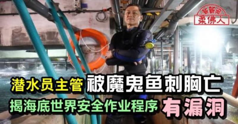 潜水员主管被魔鬼鱼刺胸亡 揭海底世界安全作业程序 有漏洞