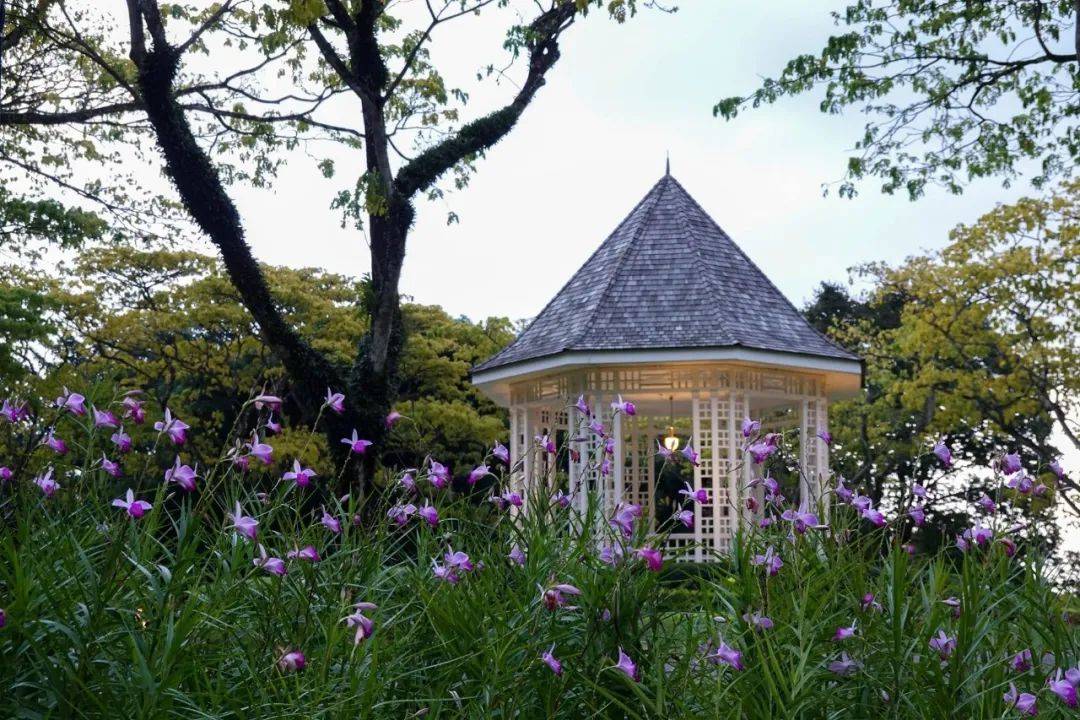 各国领导人休假时长盘点！你的年假用完了吗