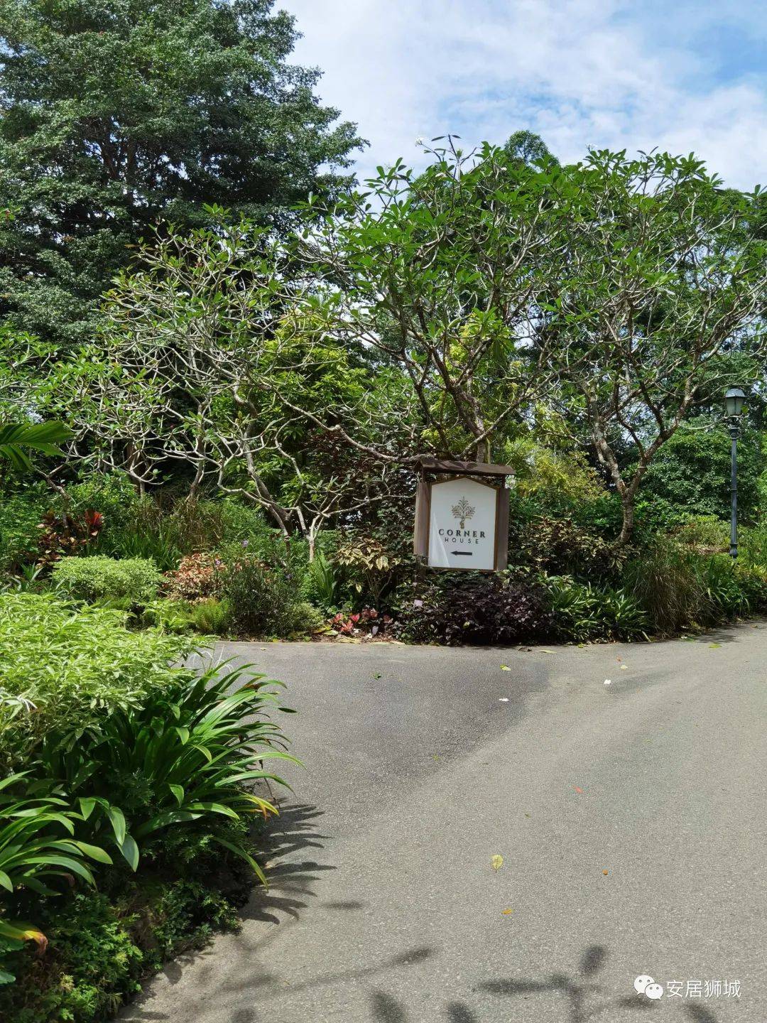 体验新加坡外宾级美食