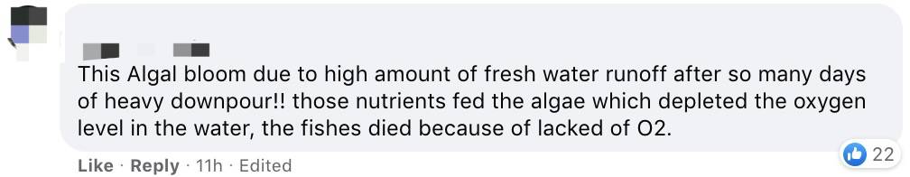 罕见!新加坡圣淘沙这条河变成了粉色,惊现大批死鱼!39年创记录暴雨太作了