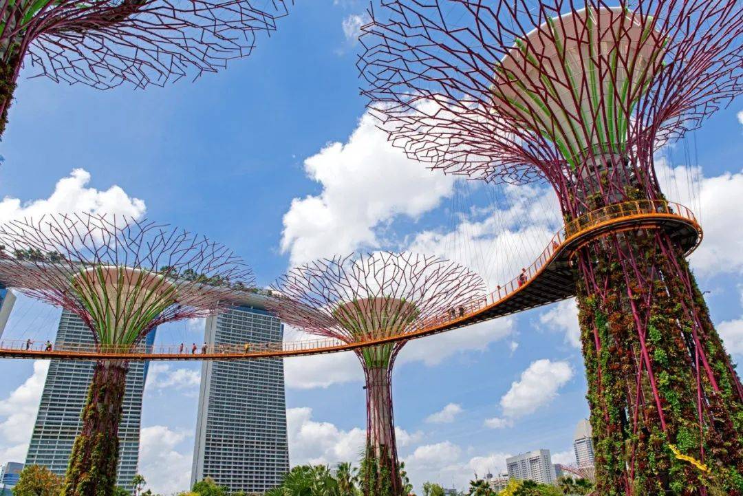 新加坡留学 私立大学优劣势分析，手把手教你如何择校