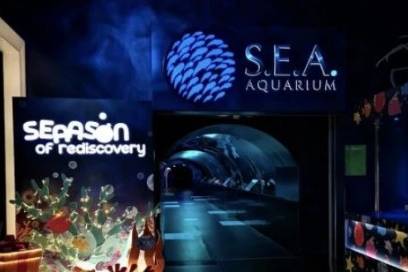 圣诞节该去哪？好吃的，好玩的统统安排