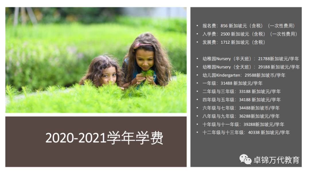 2021新加坡莱仕国际学校Nexus