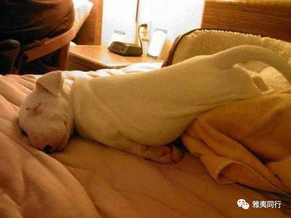 到新加坡旅游留意28条法律,避免踩雷还能省钱,破财事小,坐牢事大