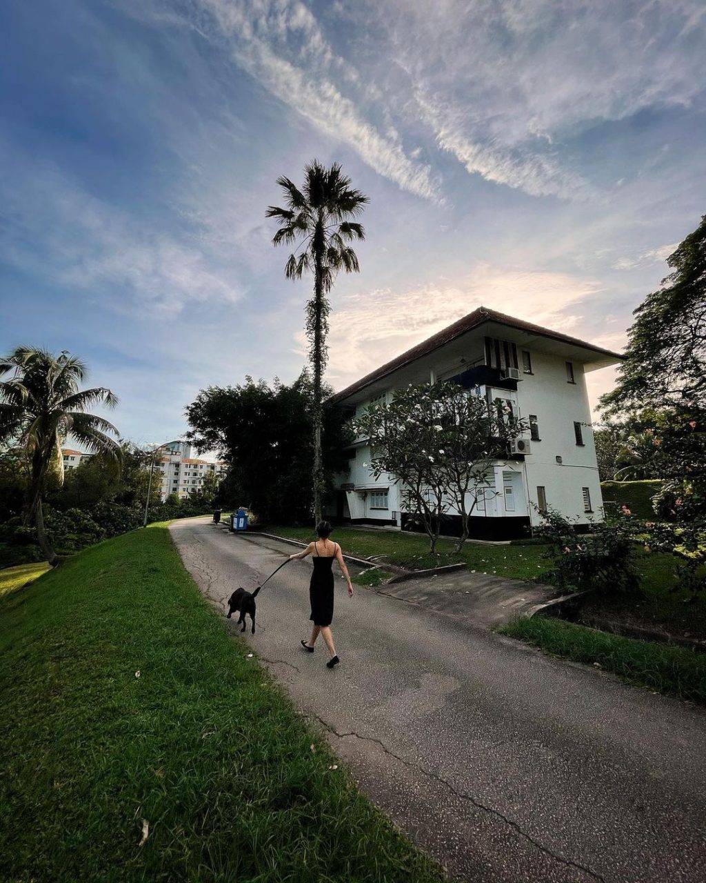 秘密景区！新加坡8座遗忘的角落🌂 徒步旅行好去处！消失的水库、战争遗物、遗弃古迹