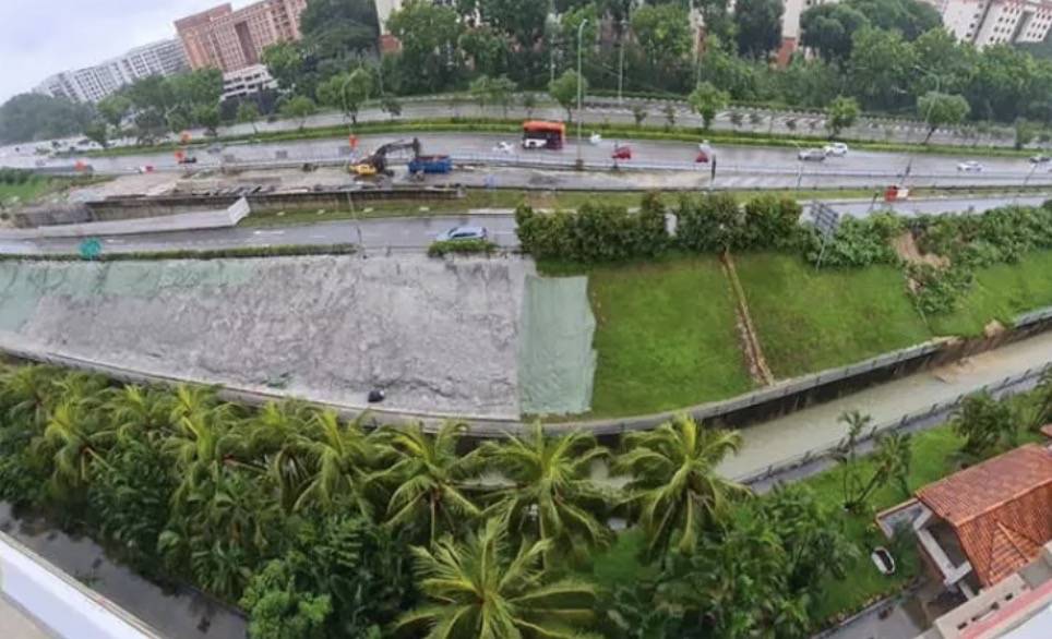 罕见!新加坡圣淘沙这条河变成了粉色,惊现大批死鱼!39年创记录暴雨太作了