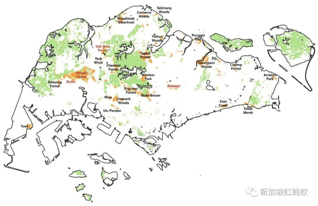 新加坡这片森林被标记为住宅用地　四天内超过3万人签名请愿留住森林