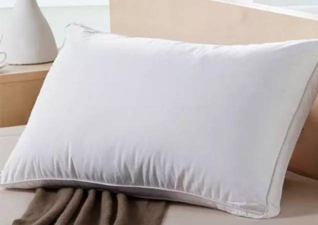 新加坡一公司卖网红原味枕头,然而网友并不买账