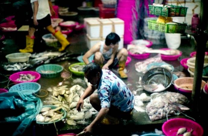 周末去哪玩？一起来探索新加坡本地人都不知道的新奇活动和景点吧