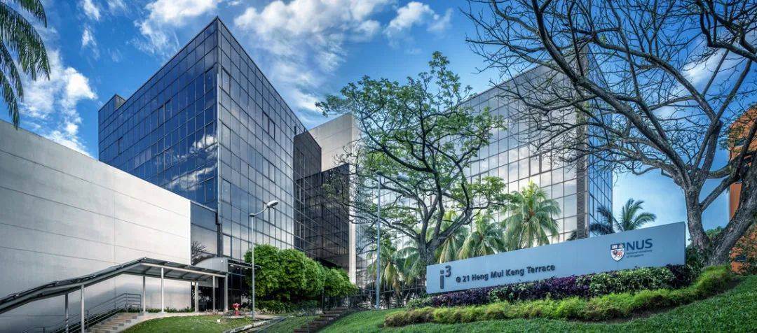 NUS 2020年度成绩单出炉，你还满意吗