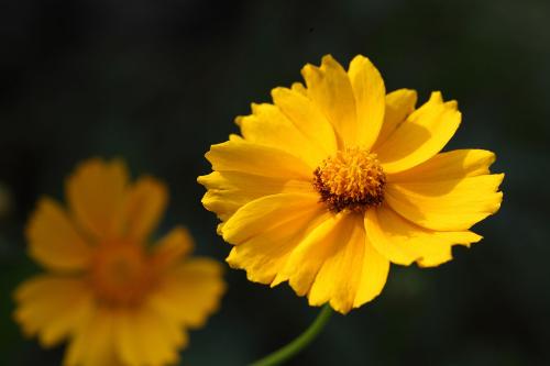 20130701103252-272701235