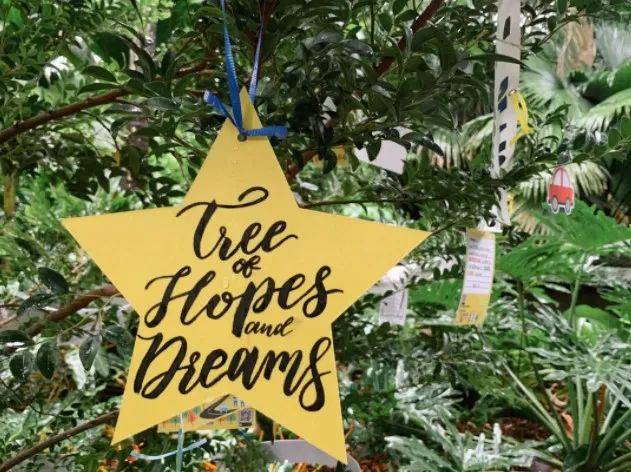 【周末去哪玩】圣诞仙境，植物园世界之树，圣淘沙海滩HelloKitty，闪耀星光灯光秀，等等等等