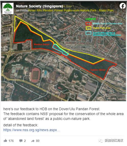 新加坡这片森林被标记为住宅用地　四天内超过3万人签名请愿留住森林