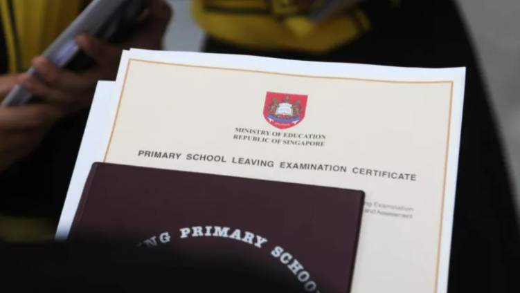 新加坡 影响着我们的一波政策