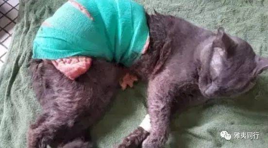 到新加坡旅游留意28条法律,避免踩雷还能省钱,破财事小,坐牢事大