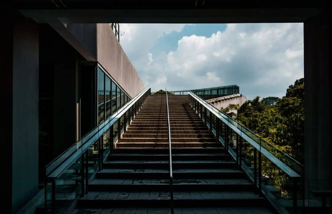 2020，南洋理工大学这一年