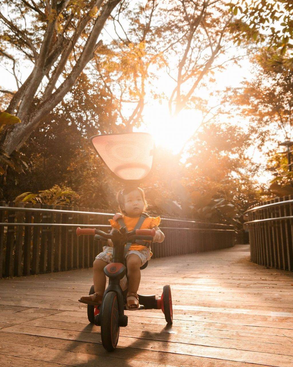 快乐天堂✨ 全亚洲最大儿童花园！花园城市里的一片绿洲🌳 吊桥、树屋、空中漫步，周末撒野去