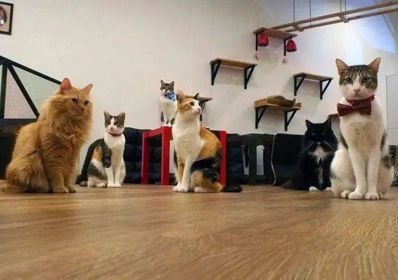 新加坡31个孩子超爱的假期活动+游玩攻略，1分不花也能玩