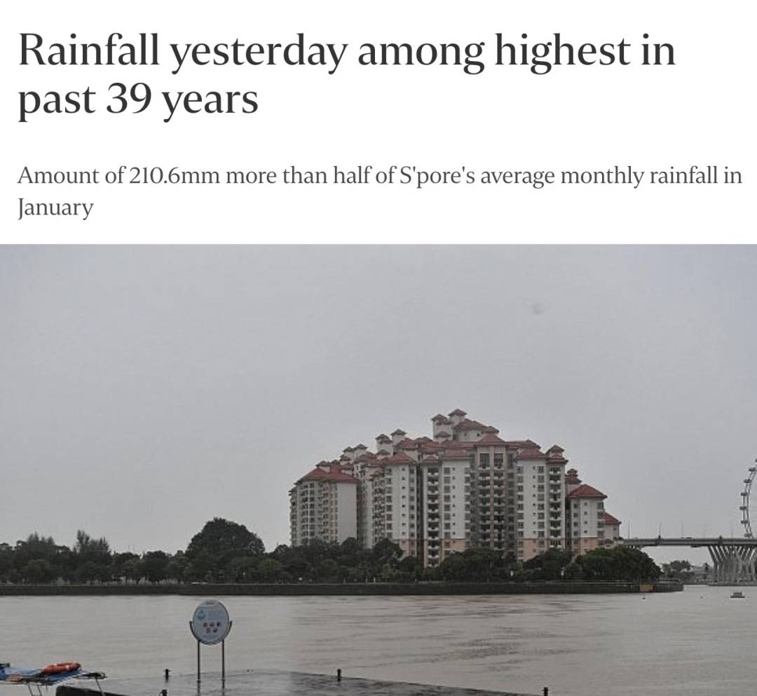 罕见!新加坡圣淘沙这条河变成了粉色,惊现大批死鱼!39年创记录暴雨太作了