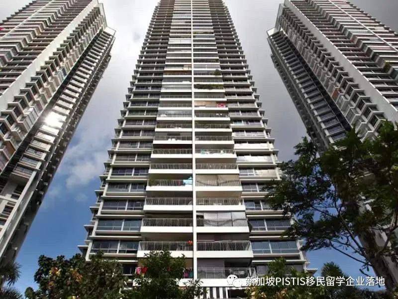 超强整理:在新加坡,公民、PR和外国人到底福利差距有多少