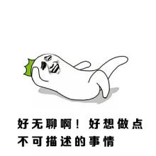 u31319536702796820999fm21gp0