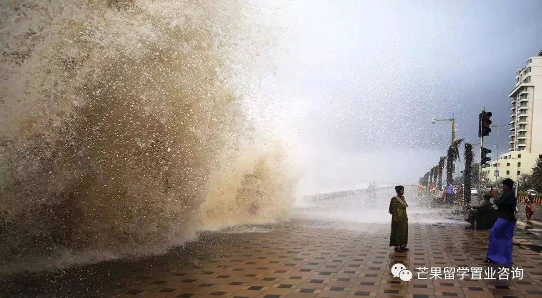 2030年新加坡将变成这样，全岛花园扩建、新建走廊和连道