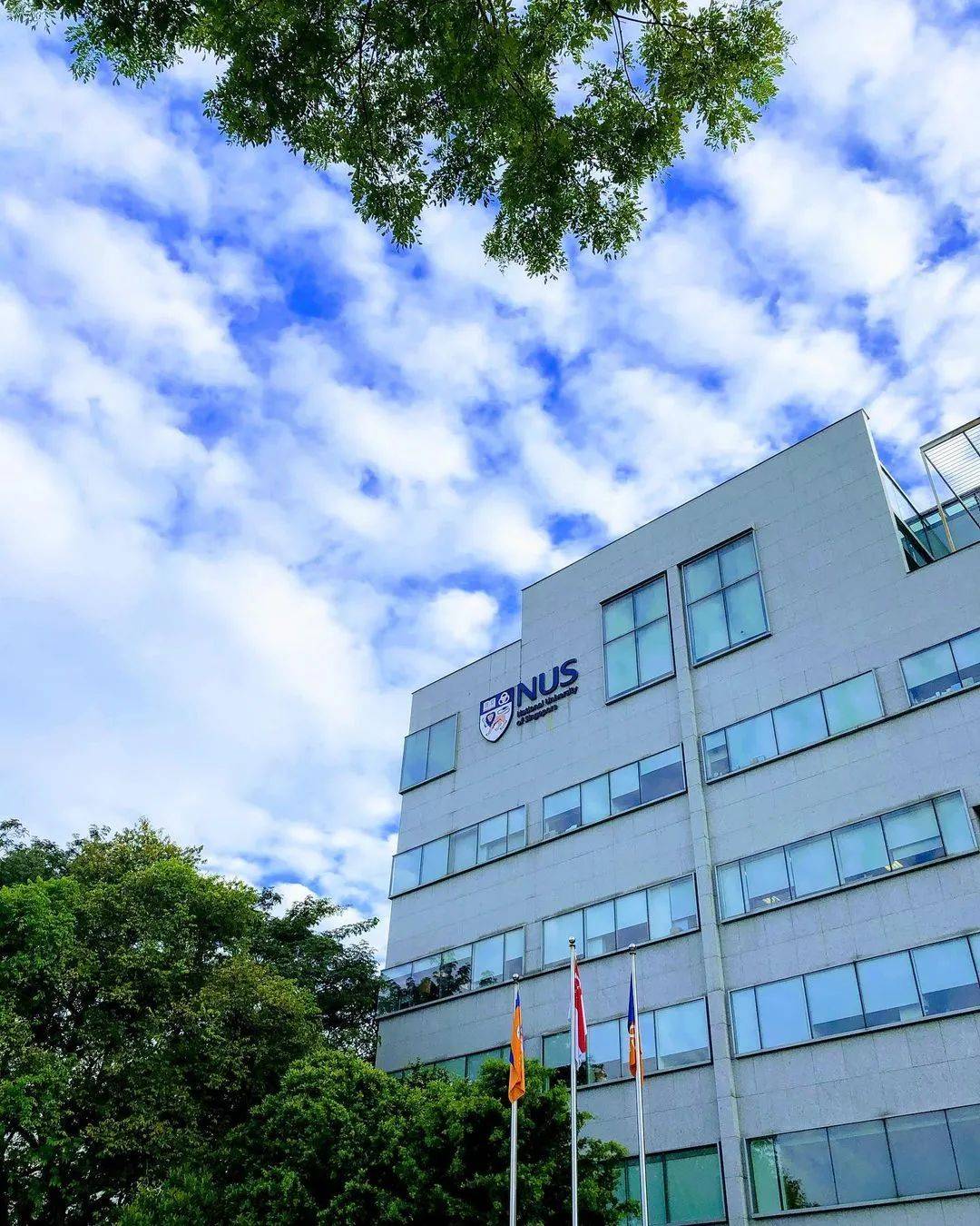 人间四月,来感受新加坡国立大学的春天