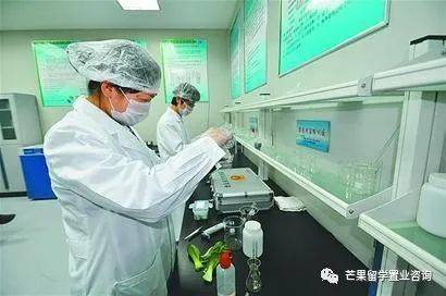 新加坡“中央厨房”CT FoodChain工厂