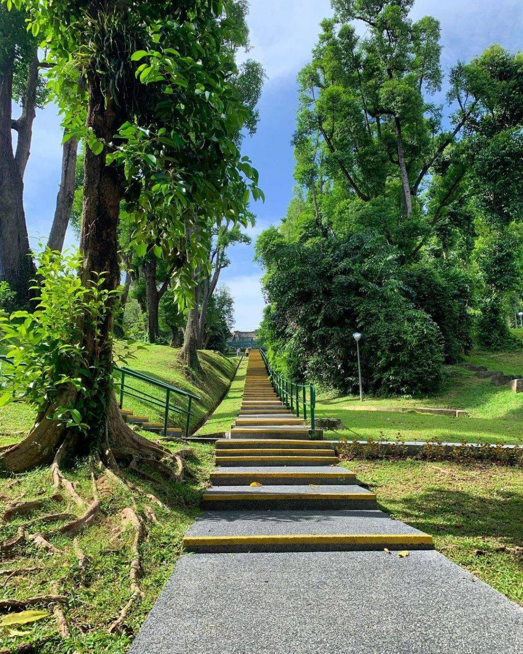 花园城市里的“秘密”花园🤫 探索繁华中的秘境！新加坡竟然藏着热带雨林谷+隐藏版小京都