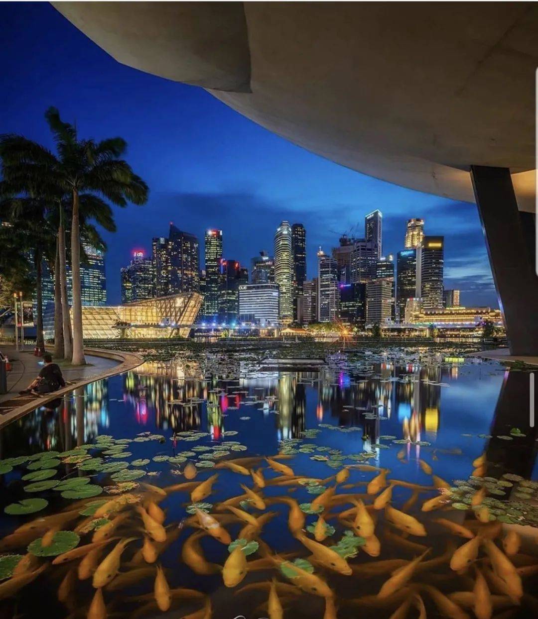 VCC基金与家族办公室的强强结合,一步到位移民新加坡