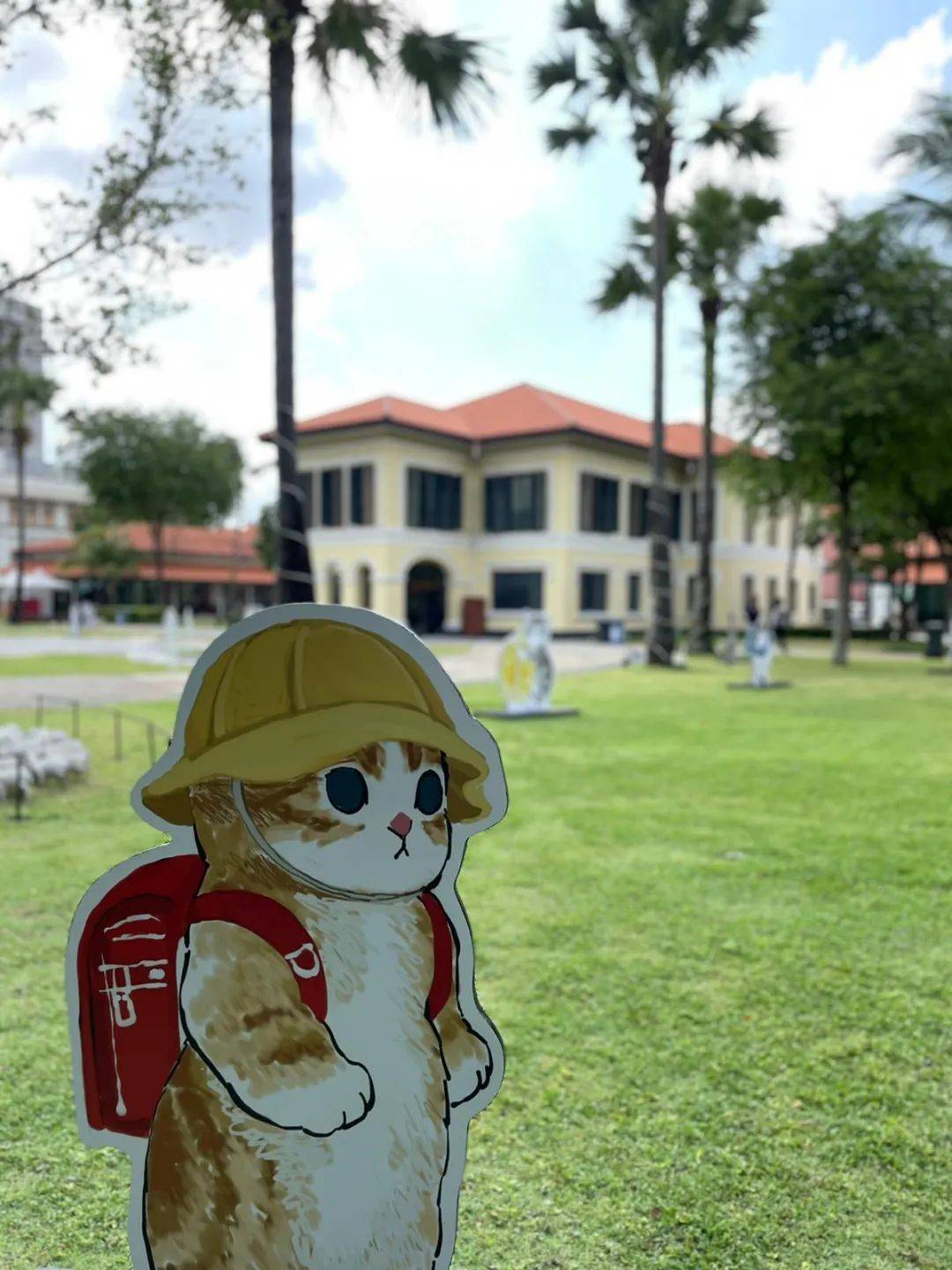 超可爱！马来文化遗产中心惊现多只猫咪