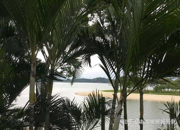 巴西立 Pasir Ris: 新加坡玩乐最强攻略