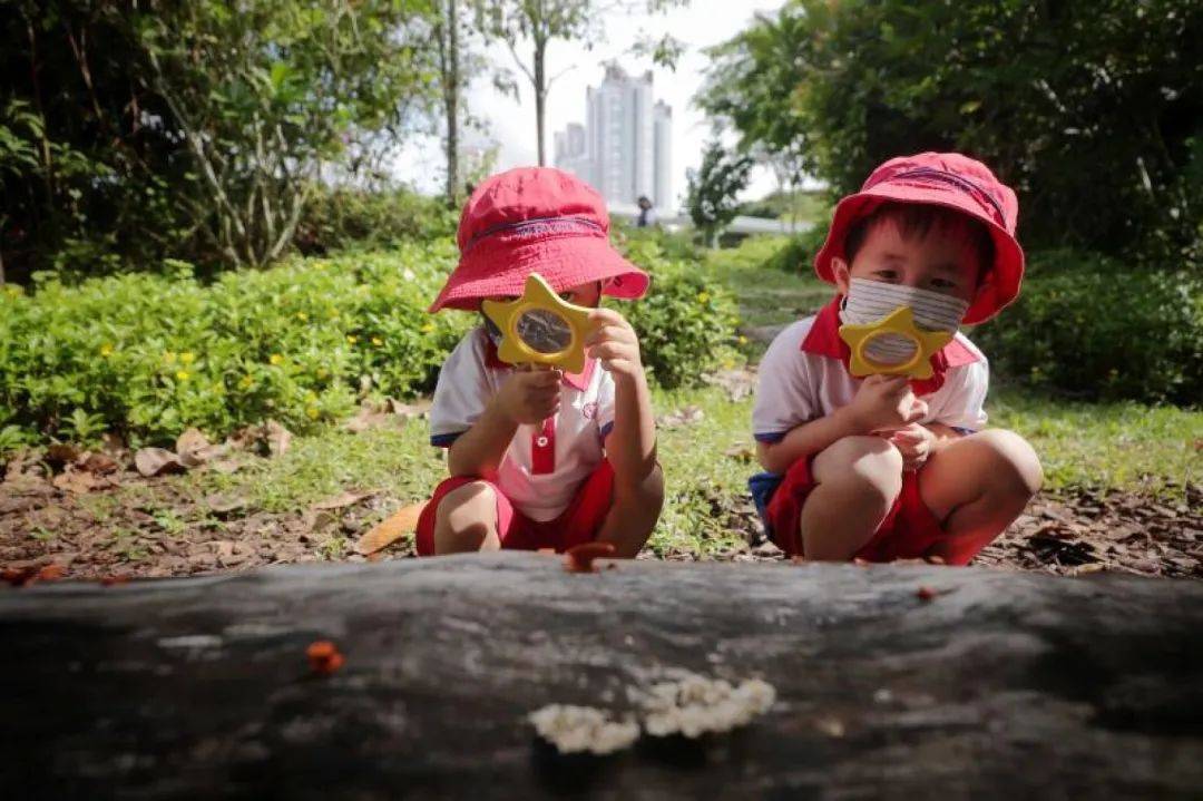 在新加坡接受丰富多彩的学前教育：骑马、做瑜伽、编程、参观水族馆、丰富的户外活动