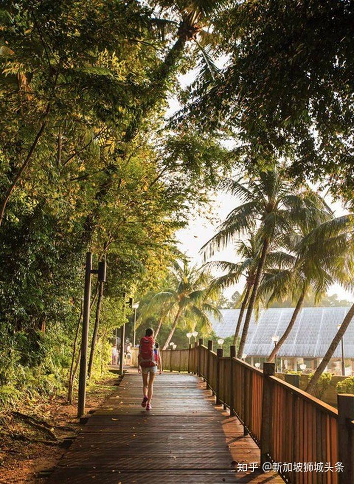 巴西立 Pasir Ris: 新加坡玩乐最强攻略