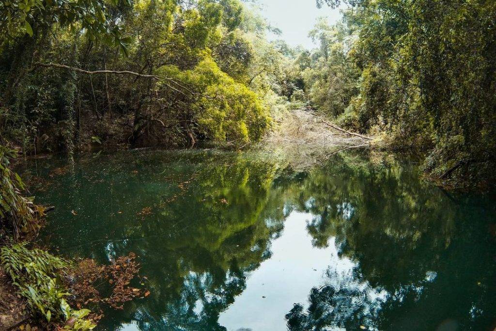 秘密景区！新加坡8座遗忘的角落🌂 徒步旅行好去处！消失的水库、战争遗物、遗弃古迹
