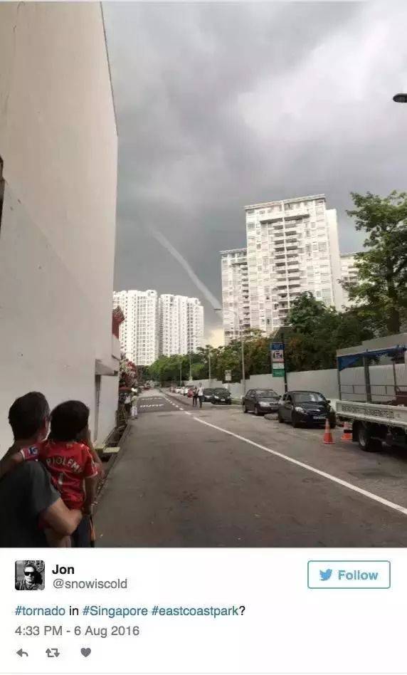 罕见!新加坡圣淘沙这条河变成了粉色,惊现大批死鱼!39年创记录暴雨太作了