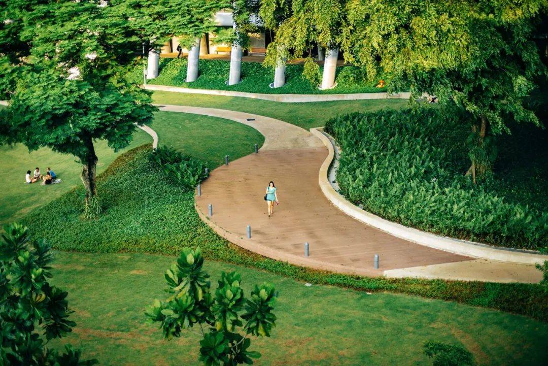 人间四月,来感受新加坡国立大学的春天