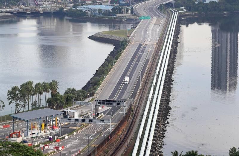 大马货物如常运新国　蔬果生禽顺利通关