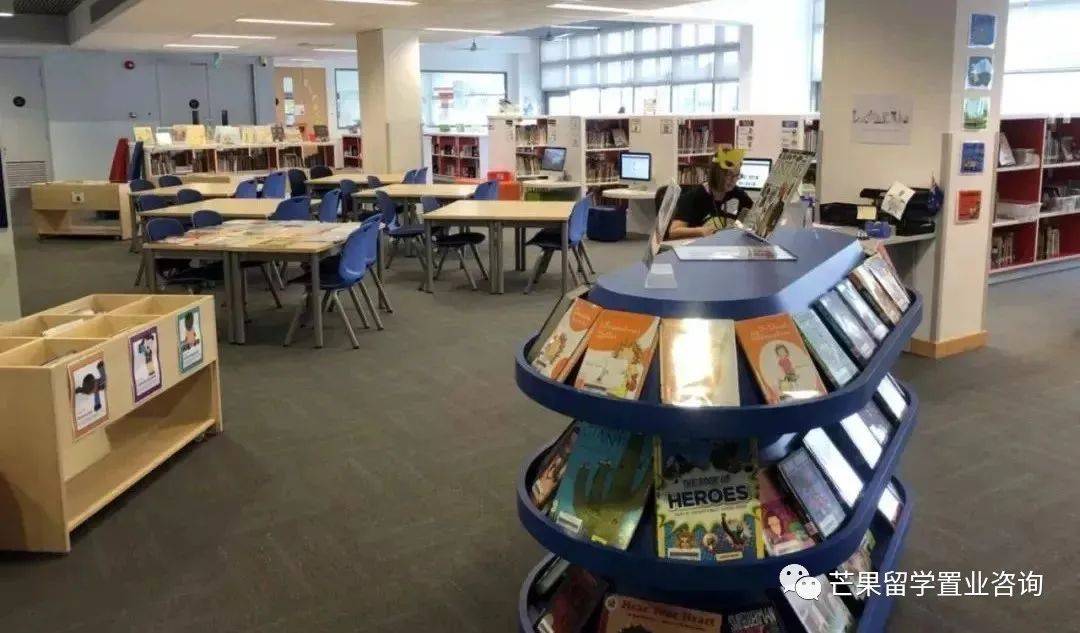 “明星国际学校”——新加坡史丹福美国国际学校