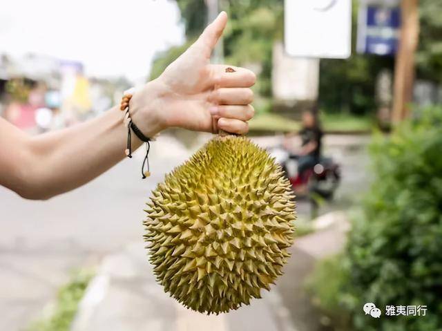 你知道怎么玩转新加坡吗？来新加坡一定要做旅游达人