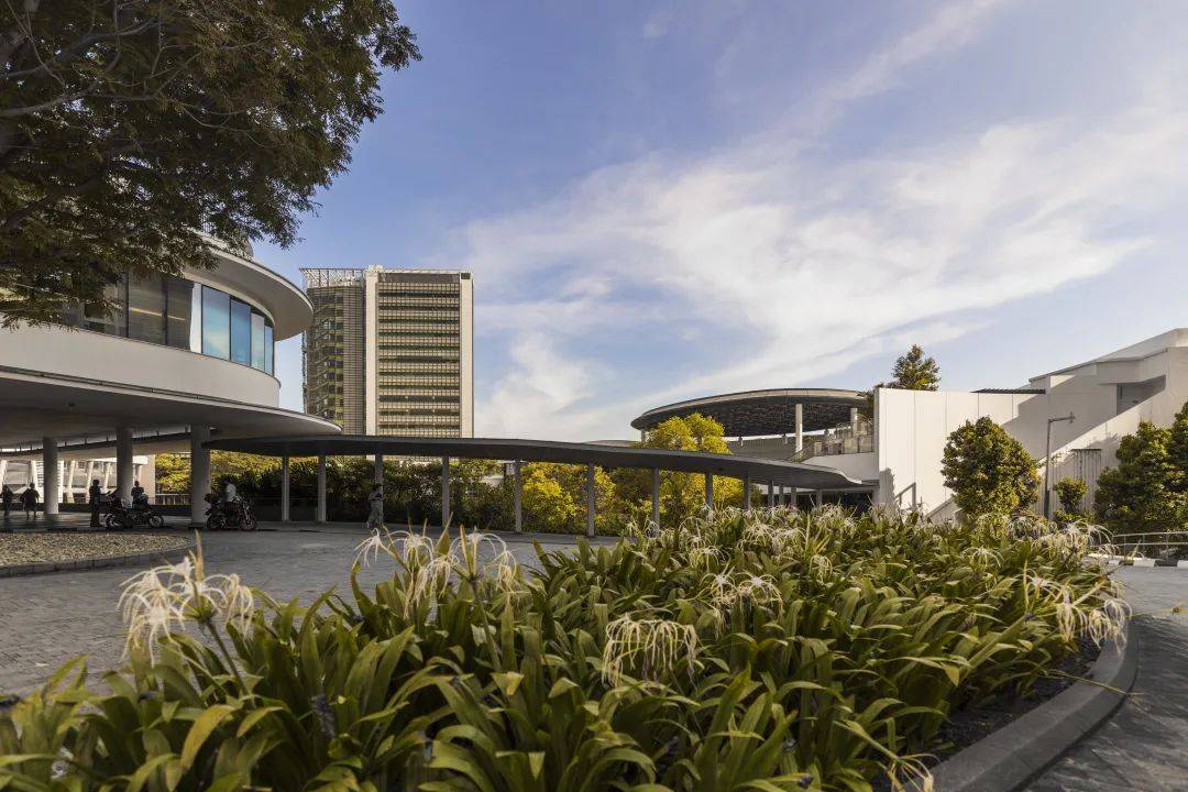 人间四月,来感受新加坡国立大学的春天