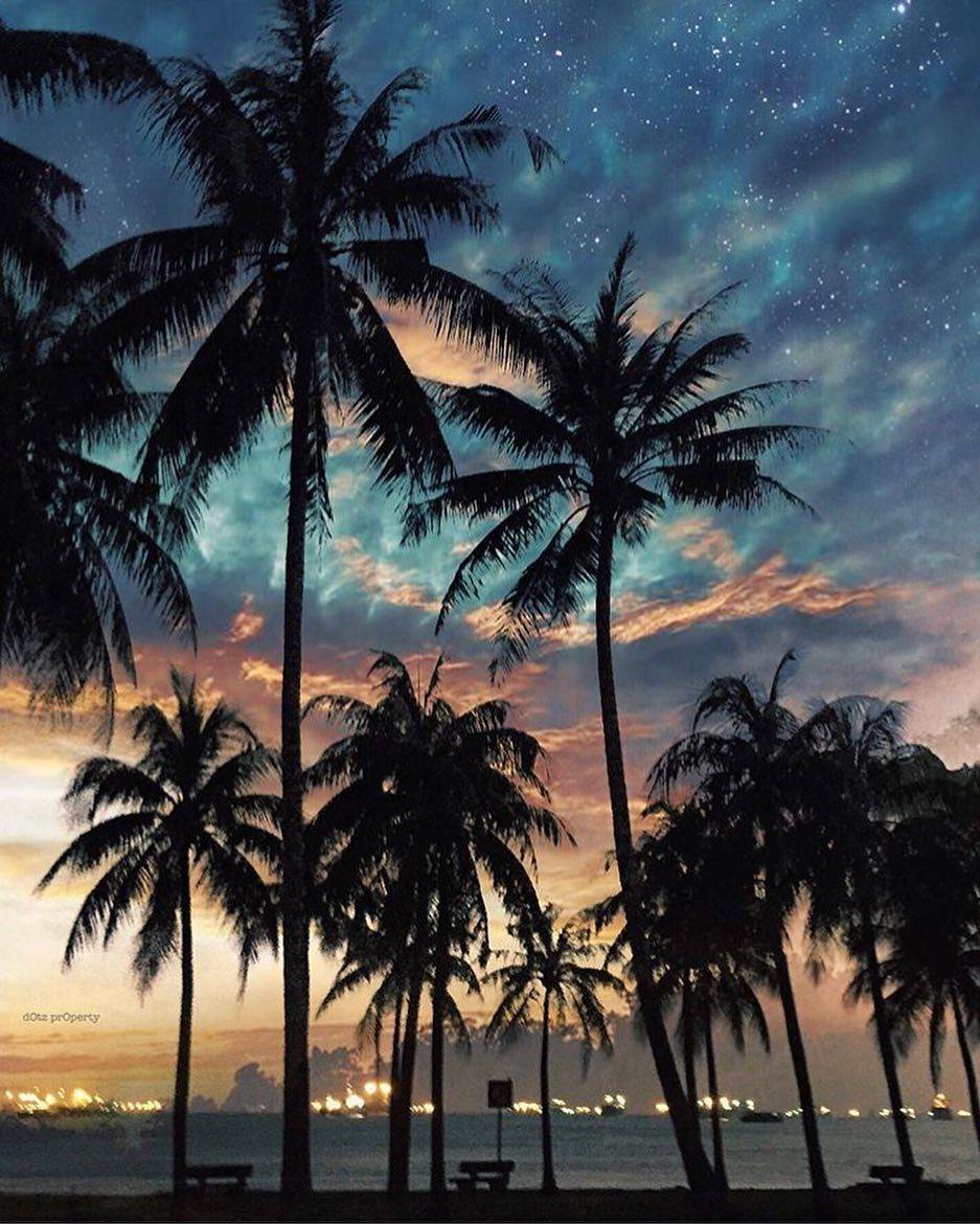 追风去💨 新加坡6大适合放风筝的地点!天气那么好,就要出外跑