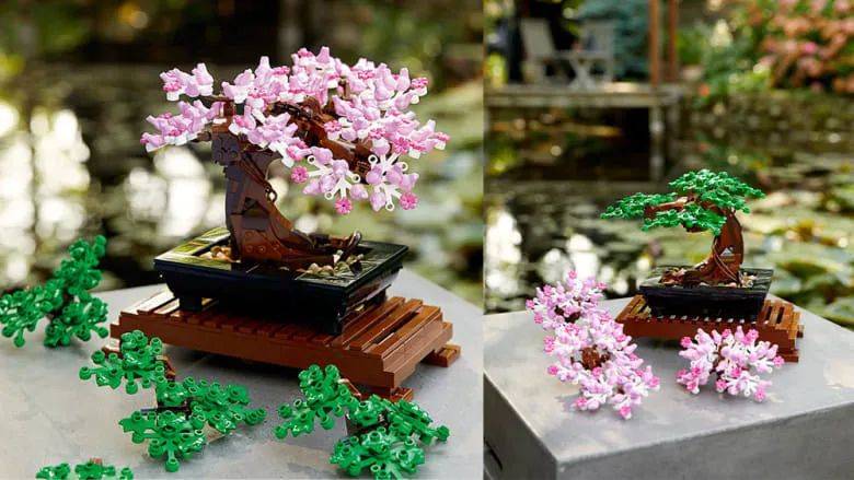 永不凋谢的花，你值得拥有