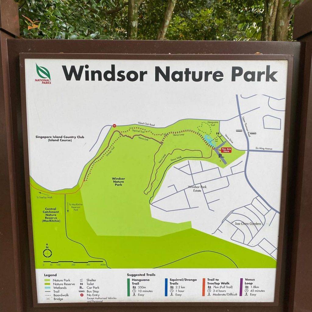 徒步吸氧去🍃Windsor Nature Park湿地公园，隐秘宝藏仙境✨ 3段徒步路径、淡水溪流、沼泽栖息地