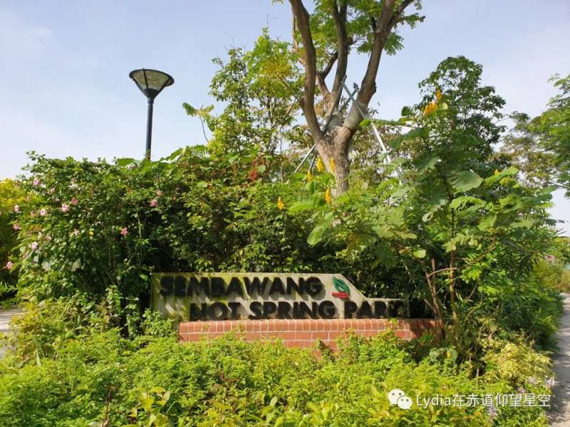 新加坡也有温泉 三巴旺温泉公园