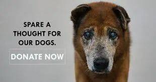 周末去哪玩？一起来探索新加坡本地人都不知道的新奇活动和景点吧