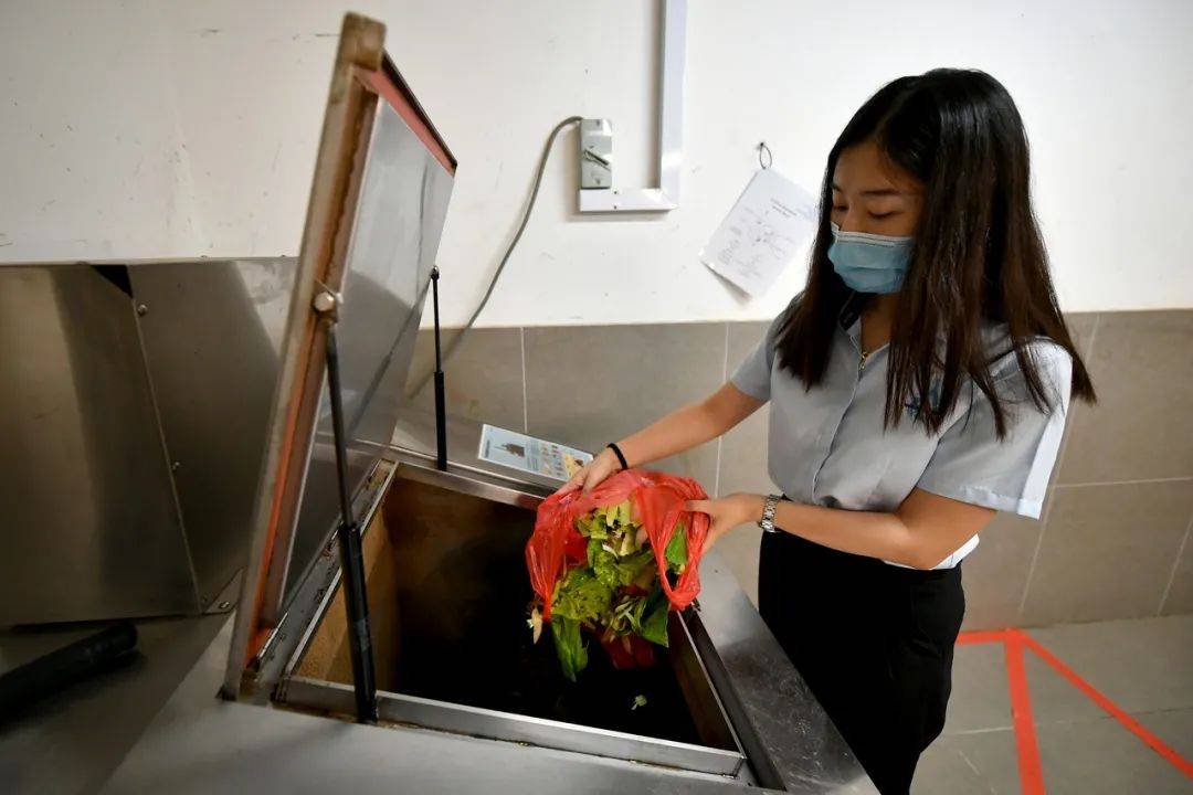 把新加坡的垃圾变废为宝？这四种方法告诉你如何为食物垃圾增值
