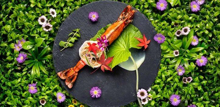 新加坡SEA海洋馆深蓝夜宴【新春特别版】登场！海底舞龙贺岁又来啦