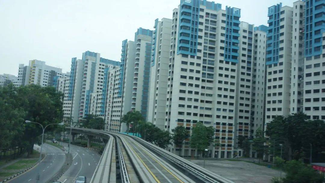 中国女留学生讨薪被掌掴、踢飞!唐人街爆发抗议游行!新加坡也有这种事吗